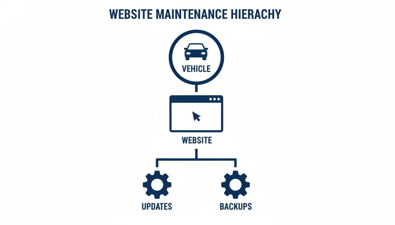 A website maintenance hierarchy diagram comparing vehicle upkeep to website updates and backups.